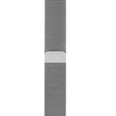 Metal Mesh Watch Watch Band With Steel Magnetic Absorption Loop For Apple Watch SE/6/5/4/3/2/1(Silver)