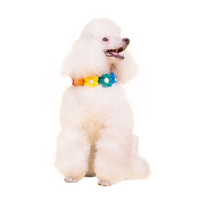 Pet Collar Cute Plush Flower Costume Accessories Necklace for Dog Cat
