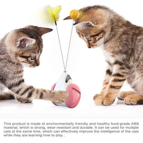 Cat Balance Swing Car Toy with Catnip Ball Feather Stick Interactive Pet Toys-Pink