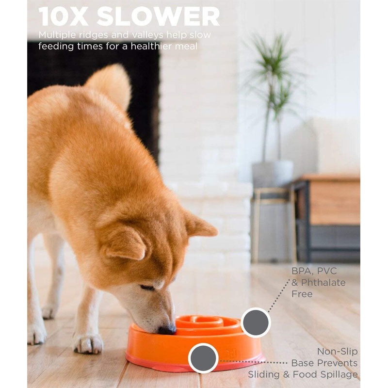 Exercise Intellect Dog Bowl Anti-choking Healthy Plastic Dog Bowl-Orange