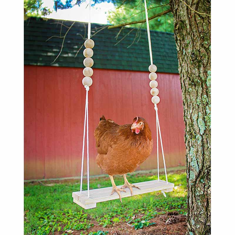 Chicken Swing Toy Durable Perch Ladder for Parrot Pet Chicken