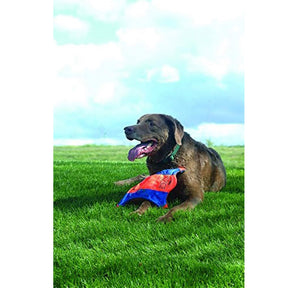 Pet Flying Squirrel Frisbee Dog Toy Wear-Resistant Bite-Resistant Flying Disc