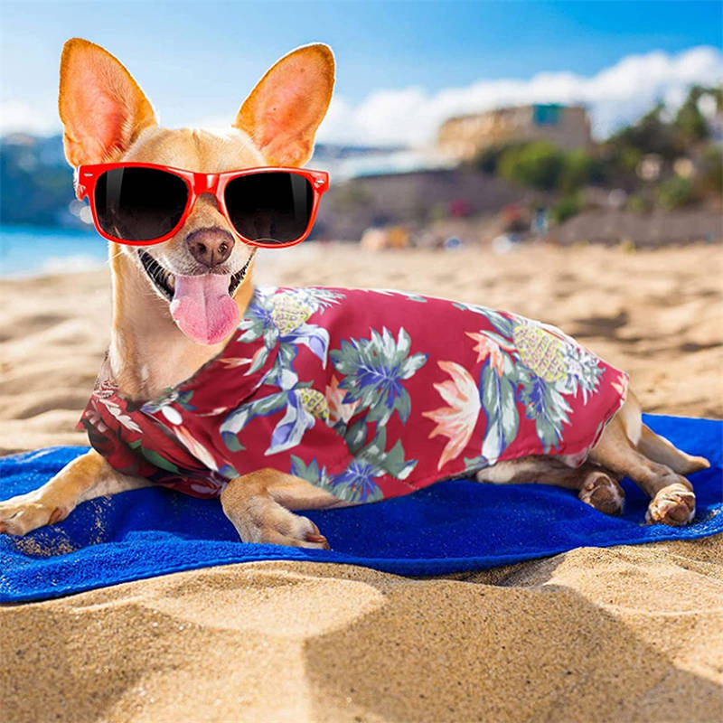 4 Pieces Pet Summer Cool T-Shirts Hawaii Style Floral Dog Shirt-SetA