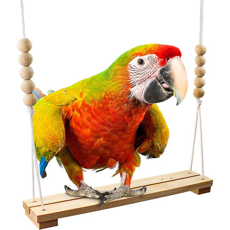 Chicken Swing Toy Durable Perch Ladder for Parrot Pet Chicken