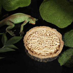 2 Pack Natural Resin Reptile Food Bowl for Lizards