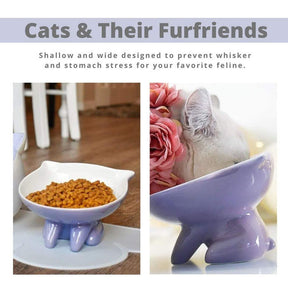 Raised Ceramic Cat Food Q Bowl Dish Tilt Angle Protect Cats Spine-Purple