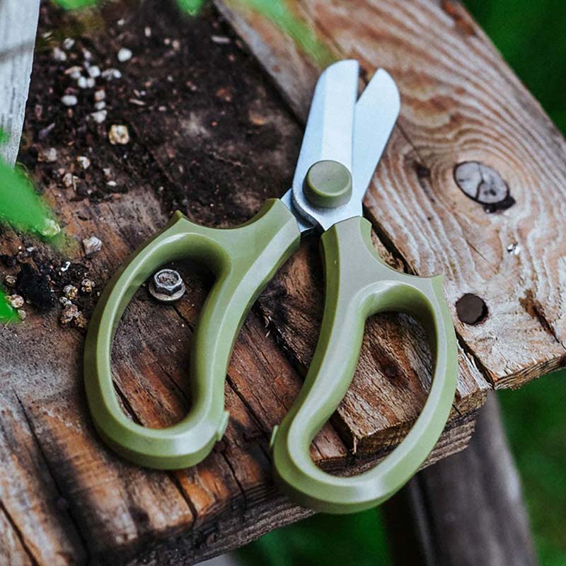 Home & LivingFloral Scissors Premium Steel Garden Plant Trimming Tools for Gardening Flower Arrangement - -Green