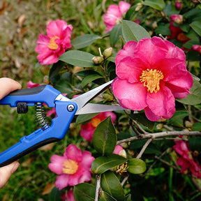 165mm Gardening Pruning Shears Hand Scissors with Straight Stainless Steel Blades for Trimming Herbs Flowers Plants -Blue