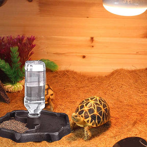 Reptile Water Bottle Automatic Feeders Waterer Food Bowl-Black