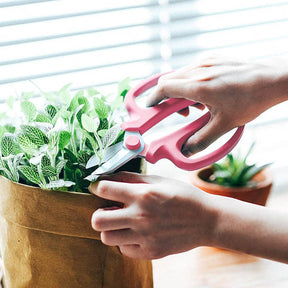 Home & LivingHome & LivingProfessional Garden Scissors Teflon Coating with Comfort Grip Handle,Garden Plants Pruning Tool -Pink)(11 x 16.5cm)