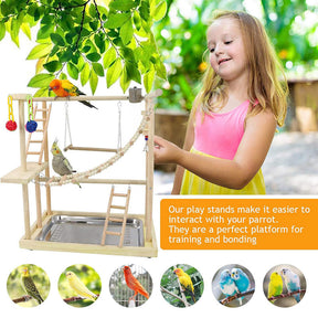 Parrots Playstand with 2 Stainless Steel Feeder Bird Swing Stand