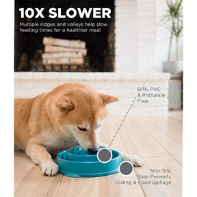 Exercise Intellect Dog Bowl Anti-choking Healthy Plastic Dog Bowl-Blue