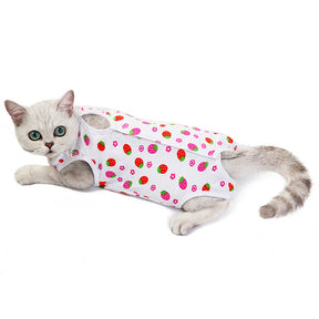 Cat Surgery Recovery Suit Breathable for Abdominal Wounds and Skin Diseases-Strawberry