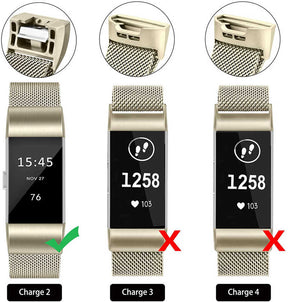 Stainless Steel Magnetic Strap For Fitbit Charge 2 Replacement Bracelets Milanese-Champagne