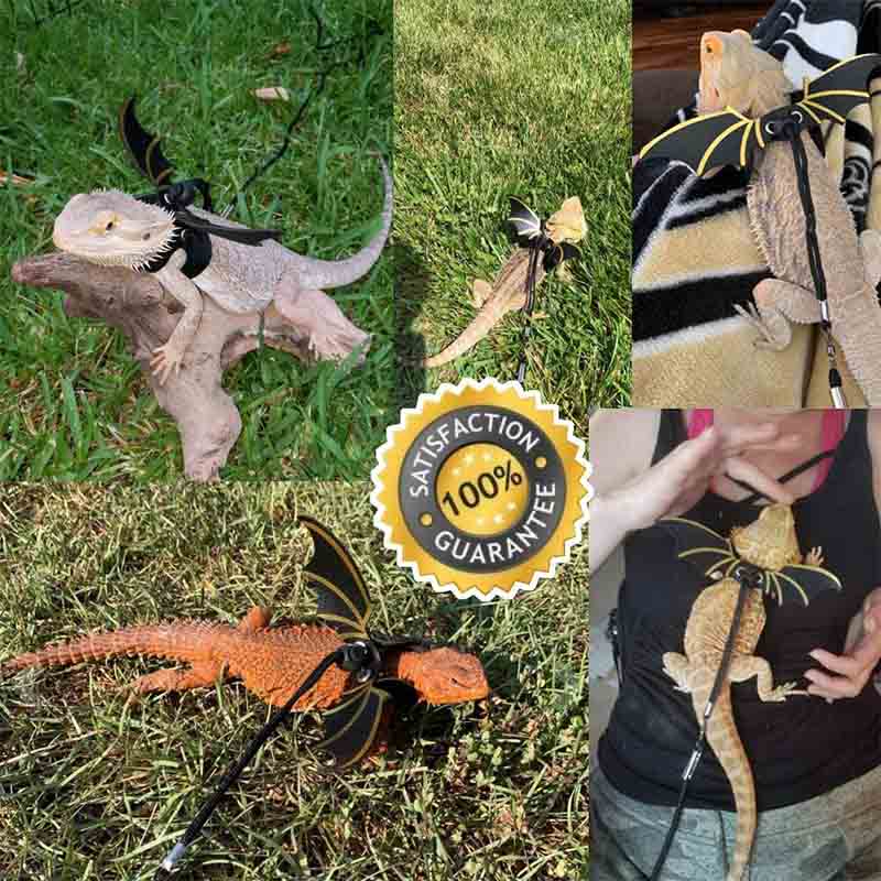 Lizard Leash Adjustable Soft Harness for Reptiles Animals-Gold