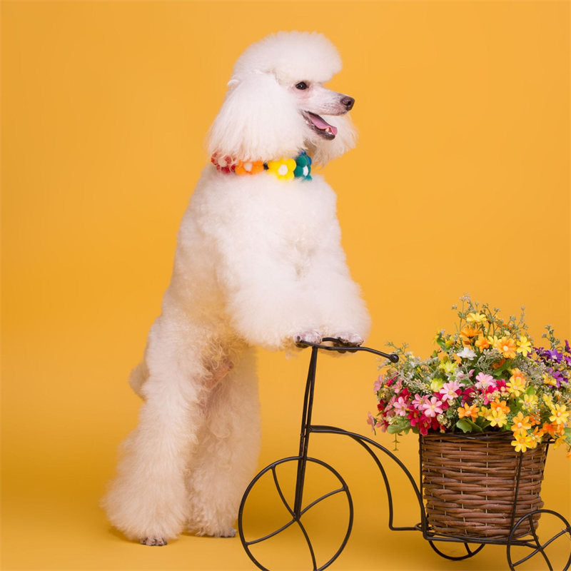 Pet Collar Cute Plush Flower Costume Accessories Necklace for Dog Cat