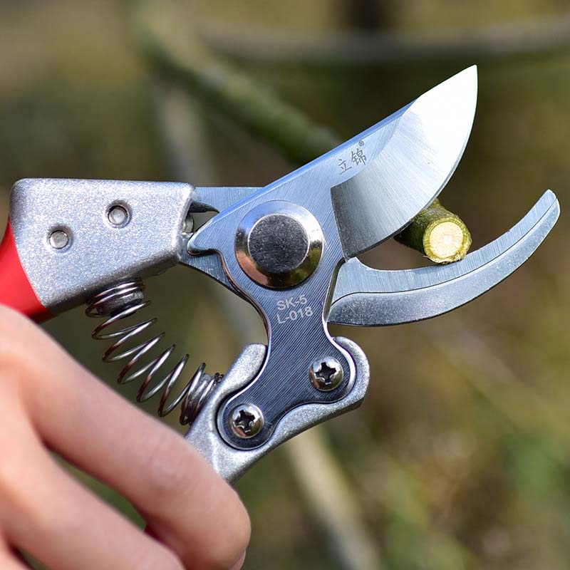 Home & Living21cm Garden Shears Tree Trimmers Secateurs, Hedge & Garden Shears, Clippers for Plants, Gardening, Trimming, Garden Tools -Red