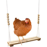 Chicken Swing Toy Durable Perch Ladder for Parrot Pet Chicken