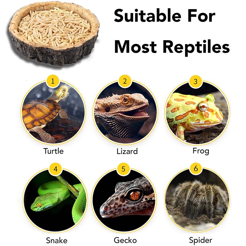 2 Pack Natural Resin Reptile Food Bowl for Lizards