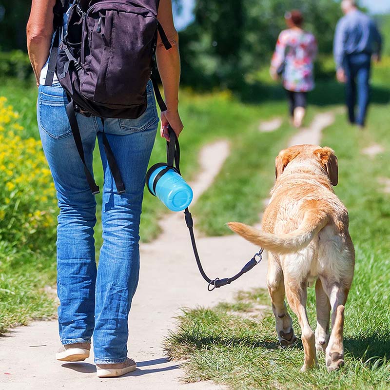 Pet Portable Water Bottles Safety Silicone Collapsible Bottle for Travel 520ML-Blue