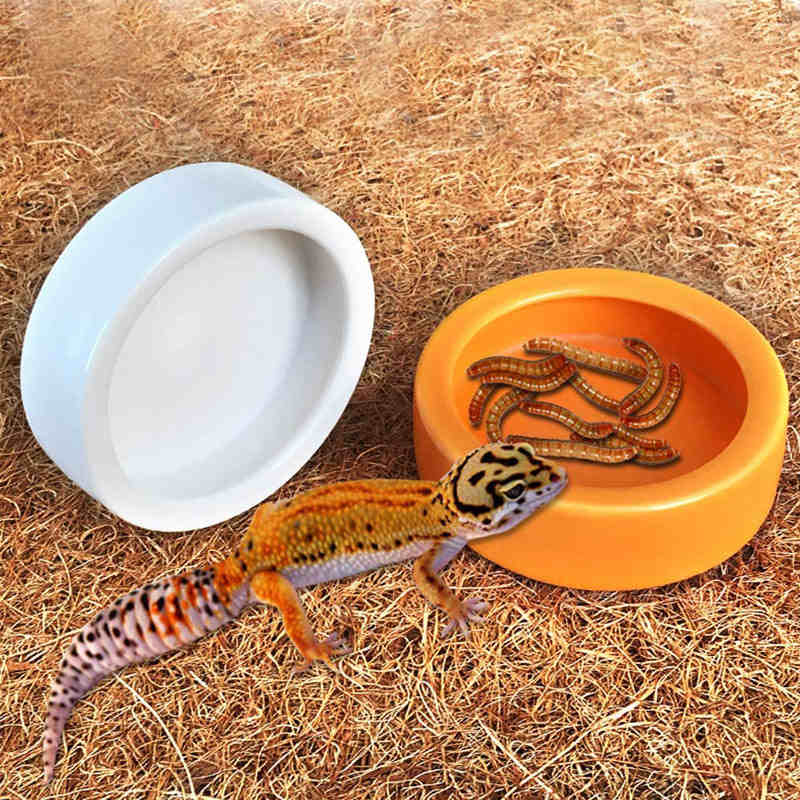 Reptile Feeding Tongs Long Tweezers+Cricket Clamp Bug Scooper+Food Bowl-5Pcs