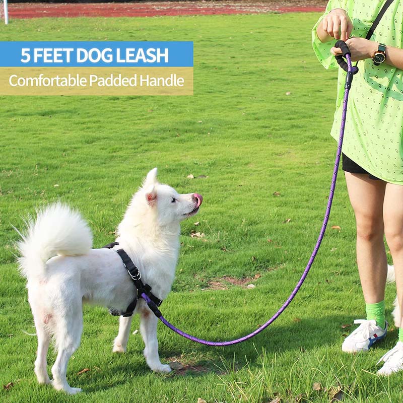 Strong Dog Leash with Comfortable Padded Handle and Highly Reflective Threads-Purple