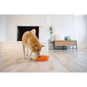 Exercise Intellect Dog Bowl Anti-choking Healthy Plastic Dog Bowl-Orange