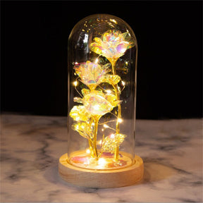 Galaxy Rose Light Glass Dome Romantic Gifts on Valentines Day-WarmLightB