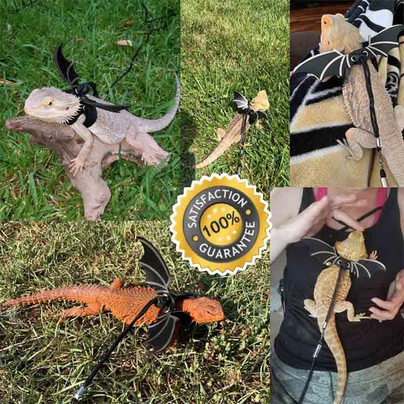 Lizard Leash Adjustable Soft Harness for Reptiles Animals-Silver