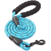 Strong Dog Leash with Comfortable Padded Handle and Highly Reflective Threads-Light Blue