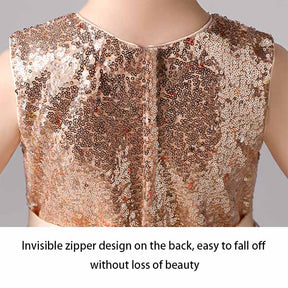 Girls Shiny Sequins Birthday Party Dance Dress-Champagne