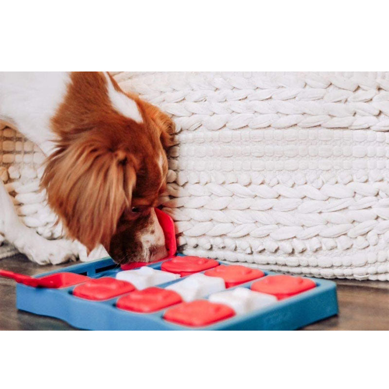 Outward Hound - Interactive Puzzle Game Dog Toys