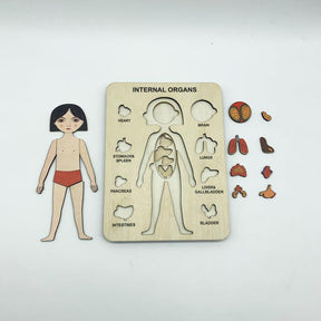 Wood Human Body Puzzles Toy Anatomy Play Set for Early Education Development-Girl1