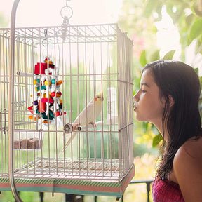 Colored Building Blocks Chewing String Toys for Small and Medium Parrots Birds