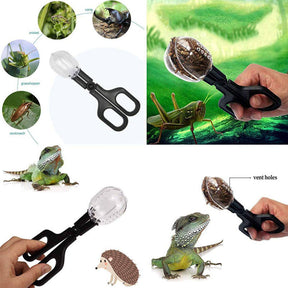 Reptile Feeding Tongs Long Tweezers+Cricket Clamp Bug Scooper+Food Bowl-5Pcs