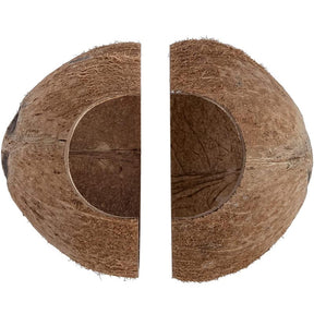 Natural Coconut Reptile Hideouts Lizard Spider Fish Hide Cave-Unpolished