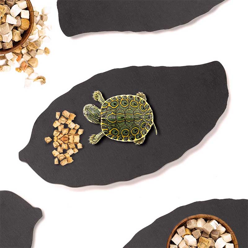 Reptile Rock Plate Tortoise Feeding Platform Food Dish Habitat Decor