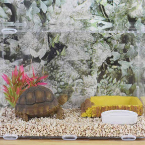 Reptile Food Bowl Habitat Breeding Box for Amphibians-GD019