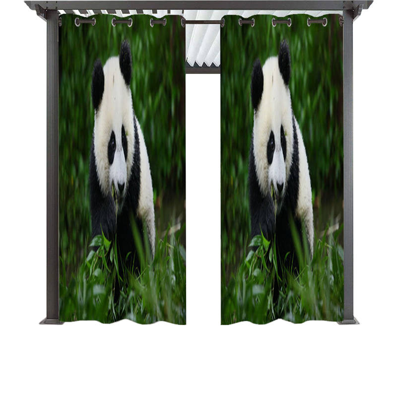 2 Panels Animal Print Pattern Window Drapes for Kids Bedroom-1