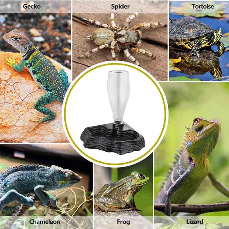 New Reptile Water Bowl Automatic Reptile Water Fountain for Lizards Snake-Black