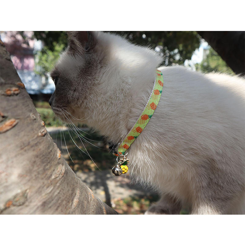 Breakaway Cat Collar with Bell Safety Adjustable Cat Collars-Pineapple