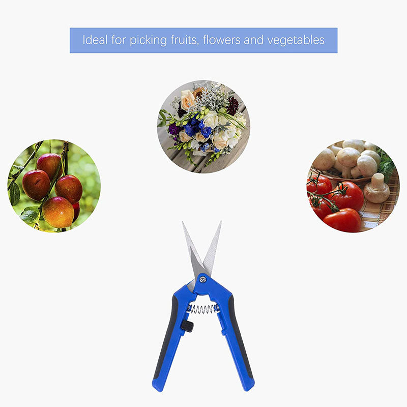 165mm Gardening Pruning Shears Hand Scissors with Straight Stainless Steel Blades for Trimming Herbs Flowers Plants -Blue