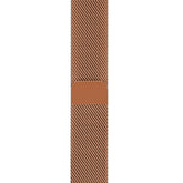 Metal Mesh Watch Watch Band With Steel Magnetic Absorption Loop For Apple Watch SE/6/5/4/3/2/1(Golden Red)