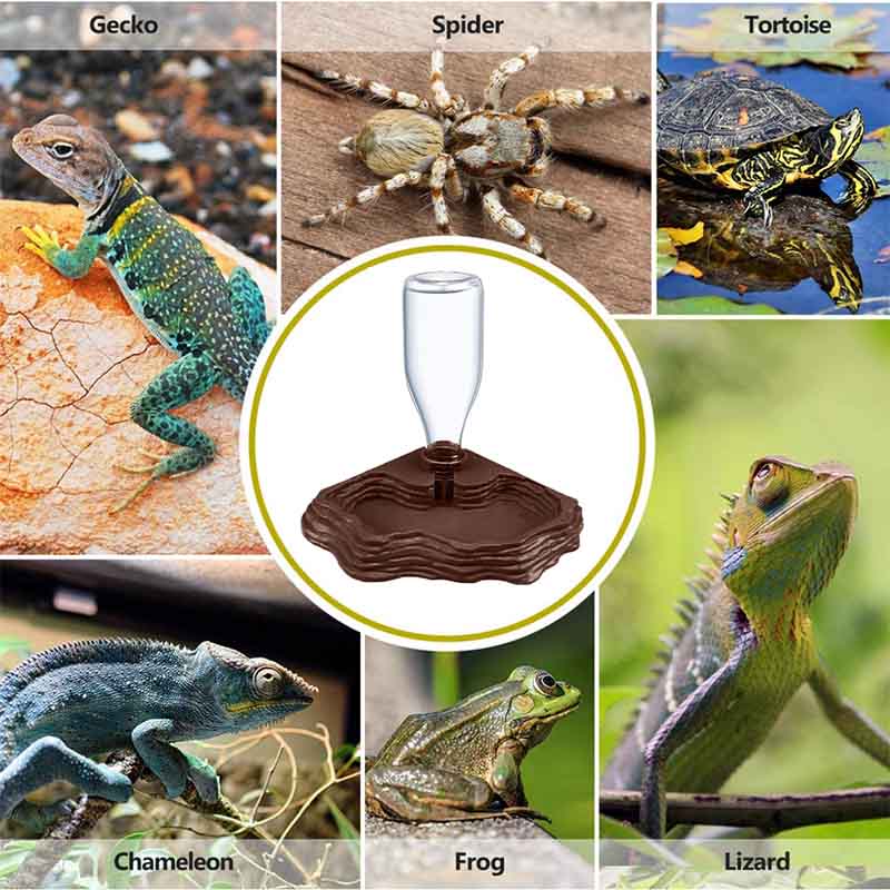 New Reptile Water Bowl Automatic Reptile Water Fountain for Lizards Snake-Brown