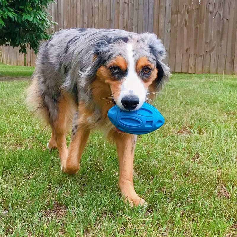 Dog Squeak Toys for Aggressive Chewers Durable Pet Rubber Football Toys-Blue