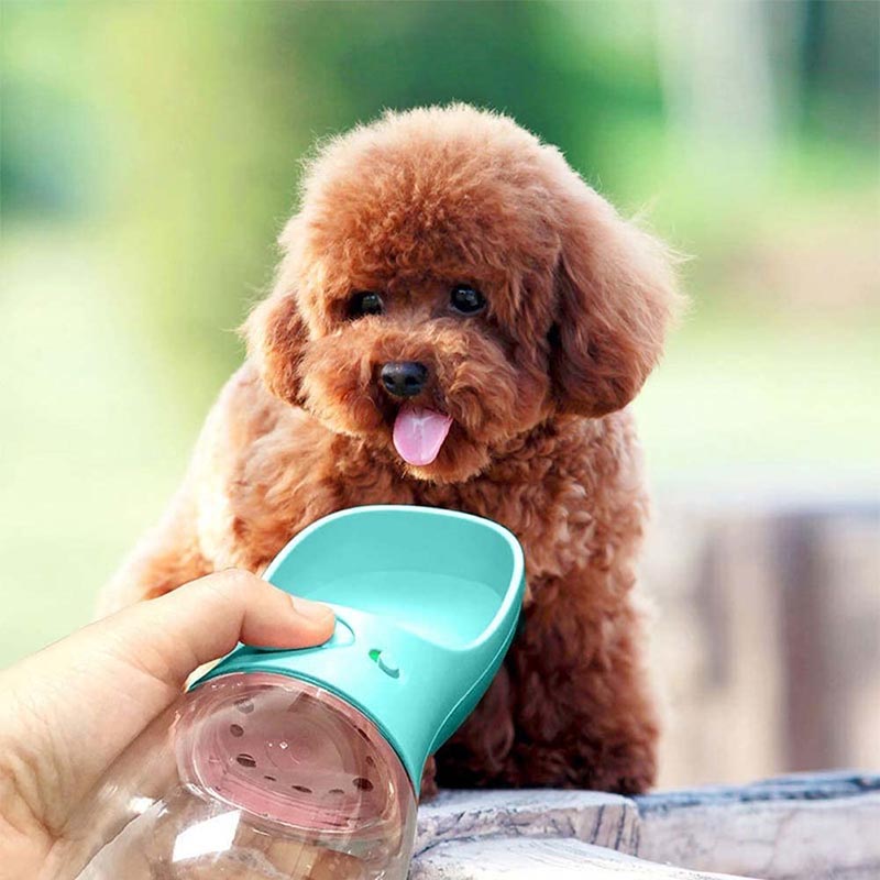 350ML Dog Water Bottle Leak Proof Portable Puppy Water Dispenser with Drinking Feeder for Pets-Blue