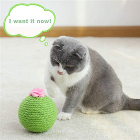 Cactus Cat Scratcher Balls Interactive Tilting Toys for Cats and Kittens