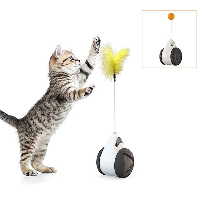 Cat Balance Swing Car Toy with Catnip Ball Feather Stick Interactive Pet Toys-Black