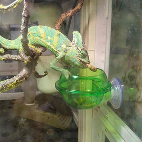 2 Pcs Reptile Suction Cup Feeder Suitable for Chameleon