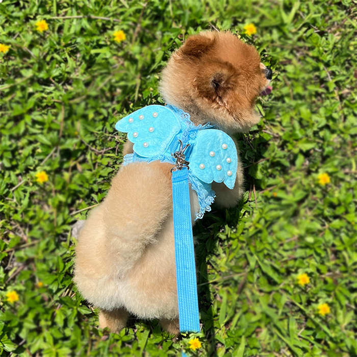 Adorable Pet Dog Harness and Leash Set with Lace Artificial Pearl Angel Wing-Blue